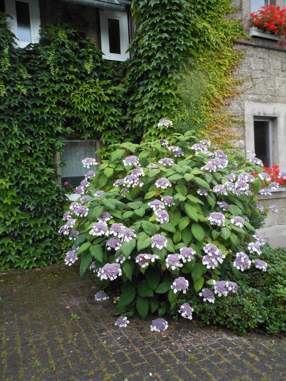 Westfalenhof Garni Willingen  Exterior foto